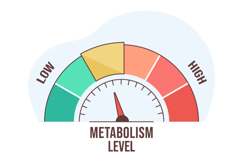 Free Calories Calculator Free Calories Calculator - daily caloric needs - NextDelicious